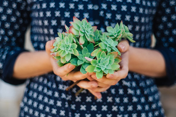 A woman holding a range of succulents