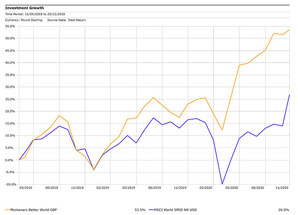 Montanaro performance chart (Nov 2020)