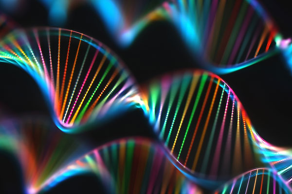 A colourful representation of DNA