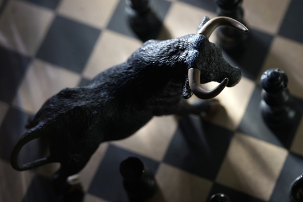 Bull on a chess board
