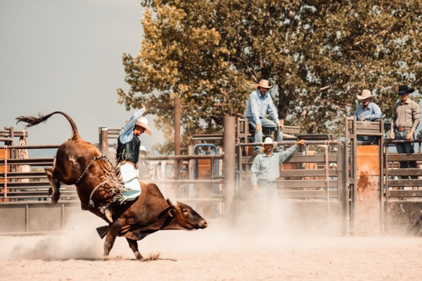 rodeo-competition rough ride
