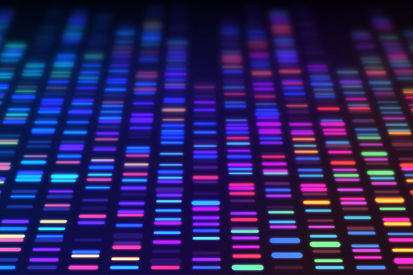 DNA sequencing 600