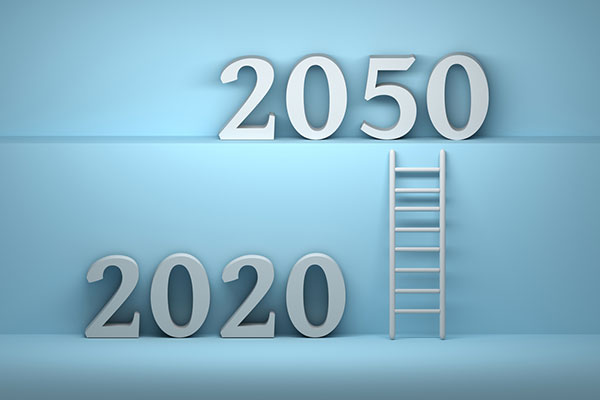 2050 deadline target