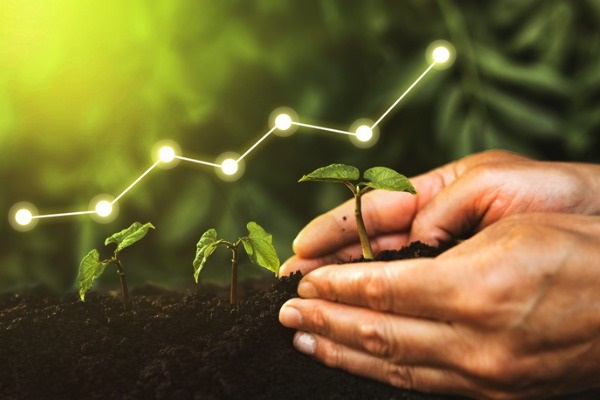 Hands putting a plant into the soil. 