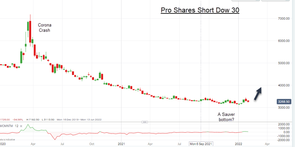 ProShares graph John Burford February 2022