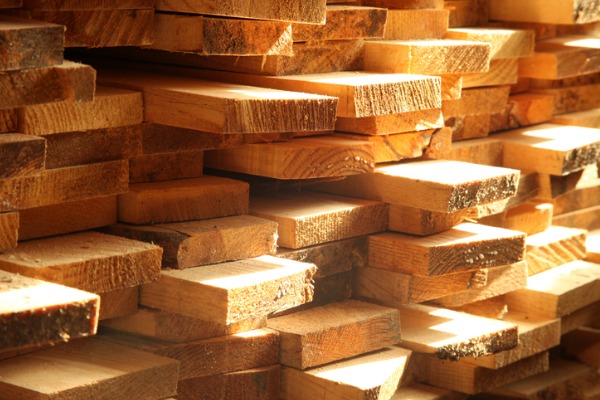 timber wood 600