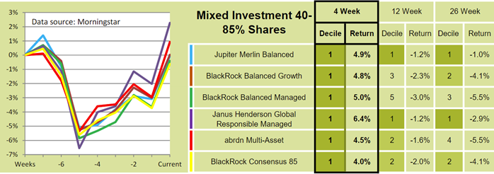 Saltydog mixed investment performance chart