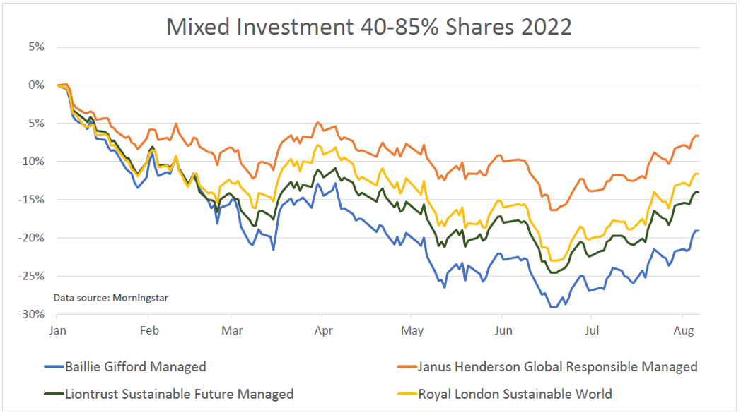 Mixed Investment 40-80% shares 2022