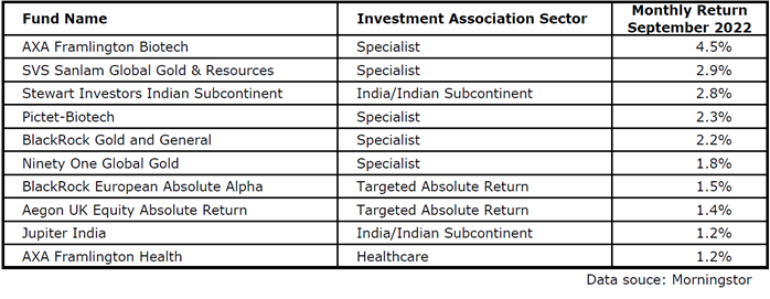 Saltydog top funds