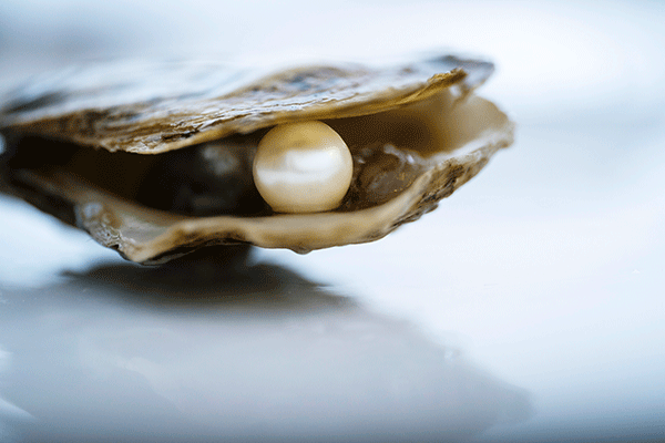 Pearl in an oyster shell 600