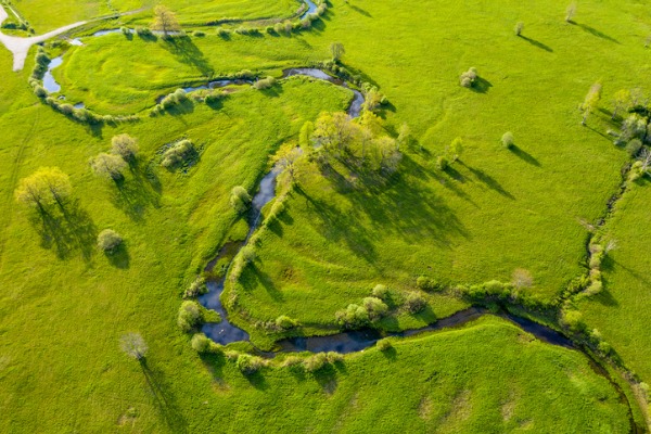 green field trees river 600