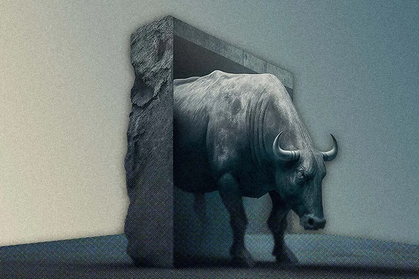Bull market.jpg