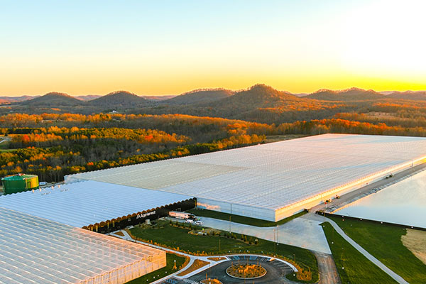 A farm belonging to AppHarvest in Morehead, Kentucky