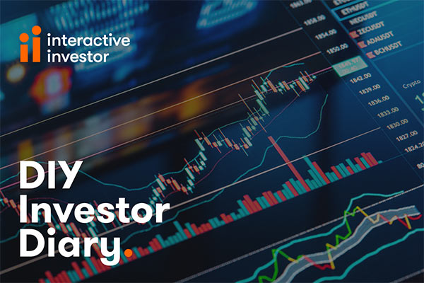Thumbnail of our DIY Investor Diary series. 