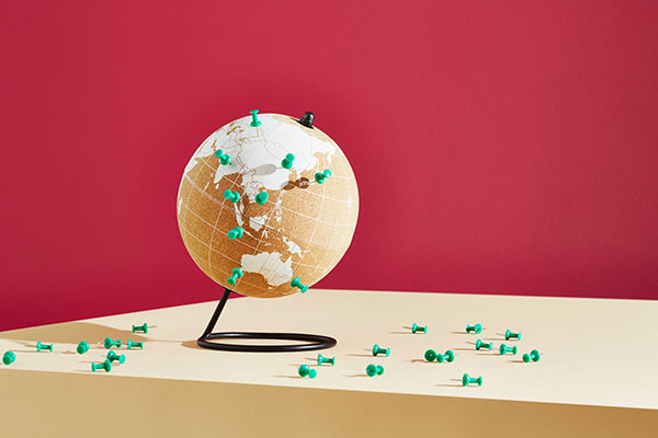 Pins in a globe 600