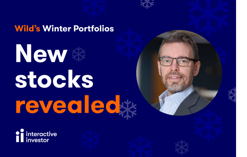 Wilds Winter Portfolios New Stocks Revealed