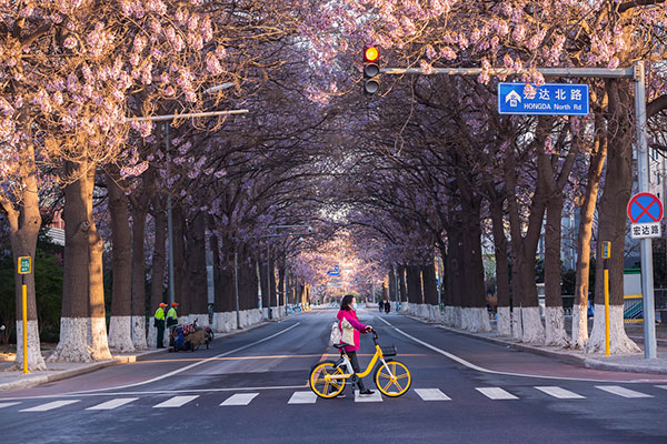 Woman with a bicycle in Beijing 600