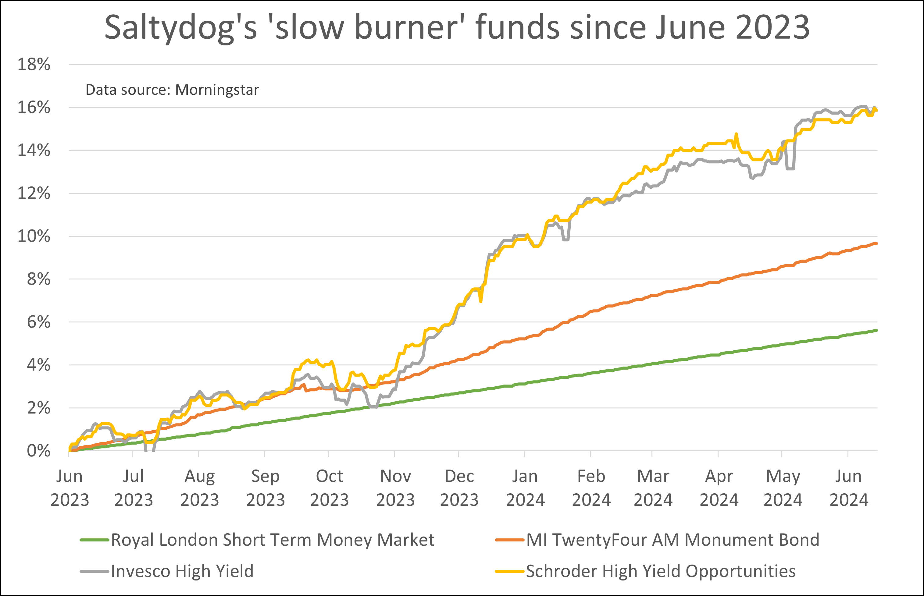 Saltydog portfolio protection