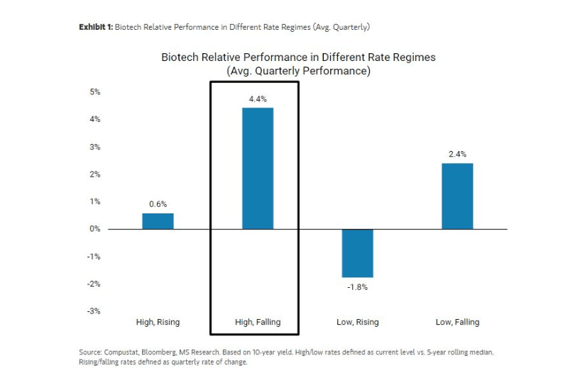 Finimize graph biotech under different rate regimes