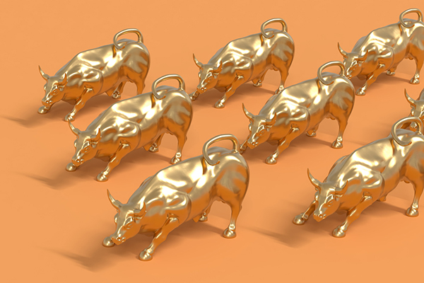 Bulls against an orange background