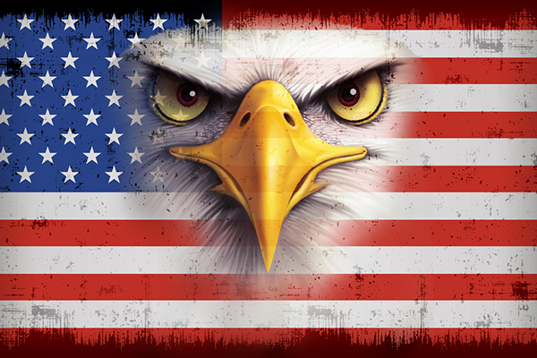 US flag with bald eagle on it