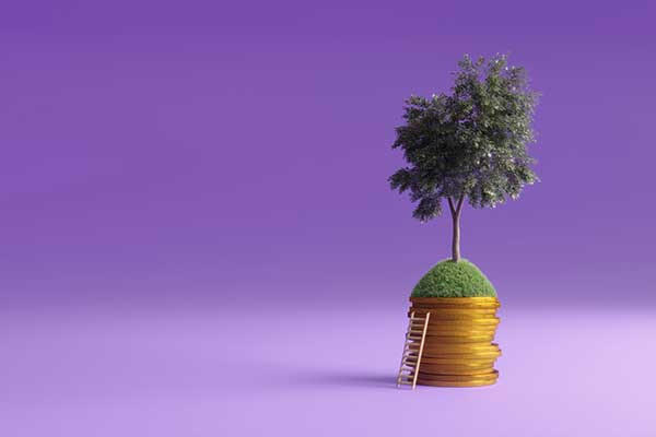  Tree growing on golden coins and ladder to financial growth