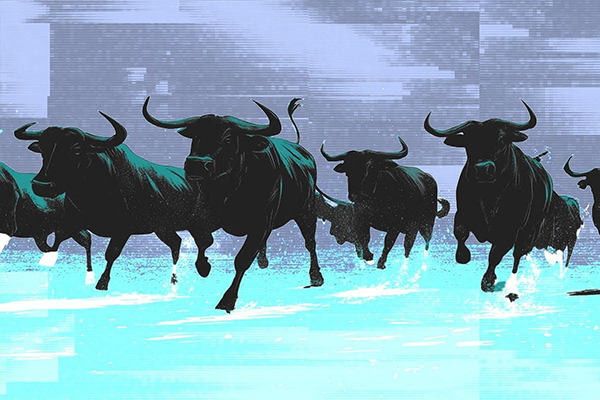 Finimze running bulls