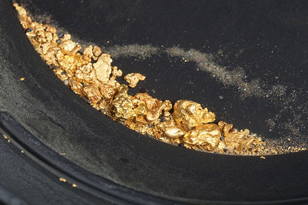 Gold nuggets and flakes in a pan