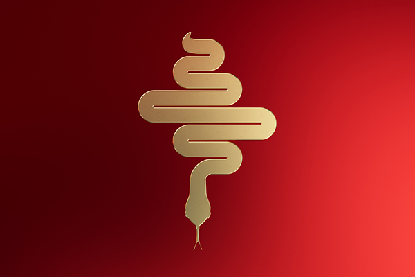 Gold snake on red background 'Year of the Snake'