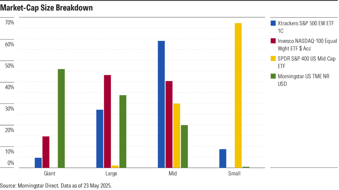 Morningstar market-cap size breakdown