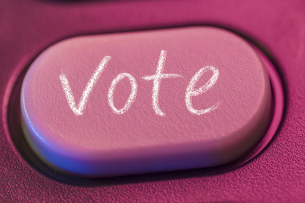 A pink button with the word 'vote' on it