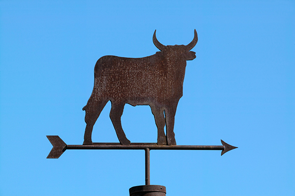 A weather vane with a bull on it, Getty