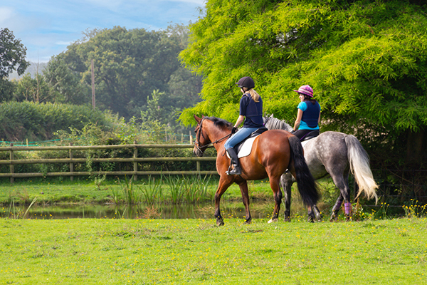 Two horses with riders in a green field