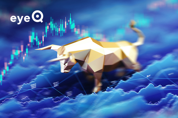 eyeQ stock market bull