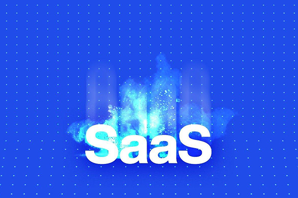 Finimize software as a service acronym