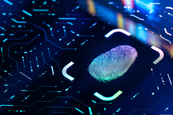 Fingerprint Biometric Authentication Button