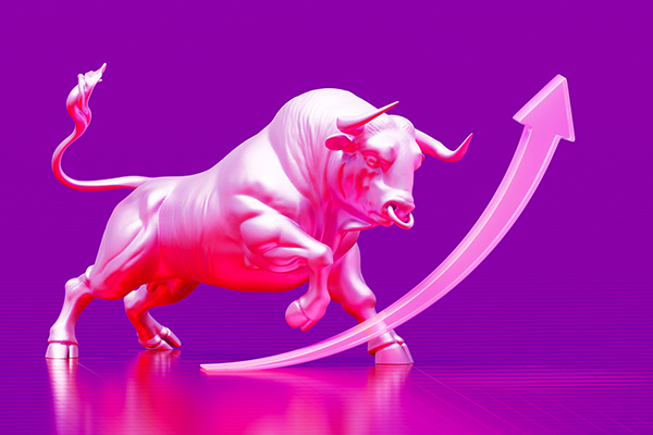 Bull market concept in bright pink